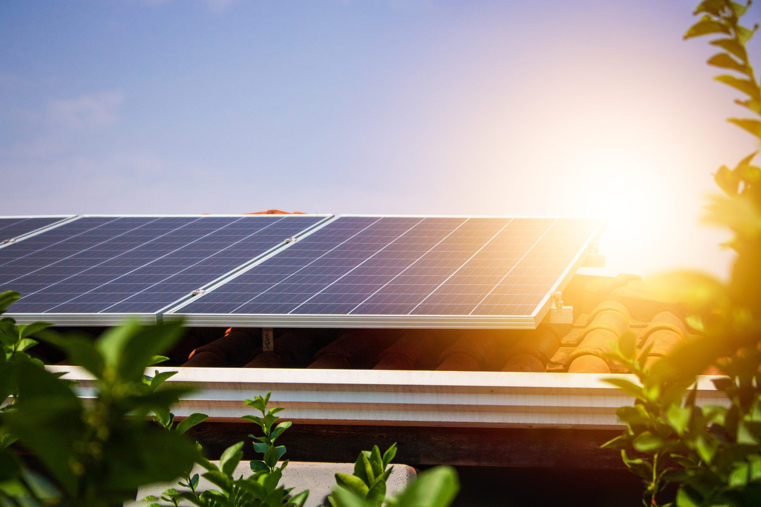 Read more about the article Solar Simplified: How it Works?